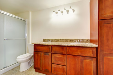 Modern bathroom cabinets with granite counter top. Bathroom interior.
