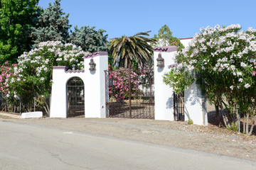 Obraz premium Entrance door of a rural house on Puglia