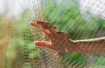 Imprison.Photo Imprison concept.Jail concept.