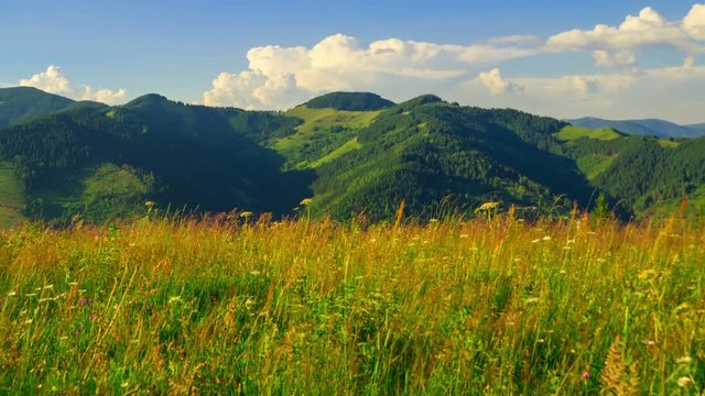 Time Lapse Clip. Fantastic Mountain Landscape with Clouds. Carpathian, Ukraine, Europe. Beauty World. 