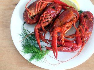 Boiled crayfish color with lemon and dill lie on a round white plate on a wooden table surface. Top view close-up