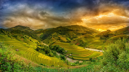 Rice fields on terraced in sunset Mu chang chai, Yen bai, Vietnam