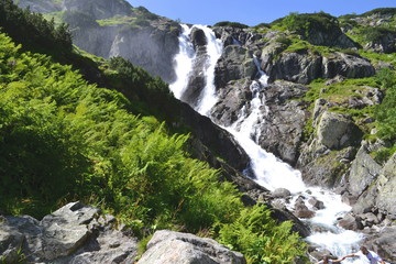 Obraz premium góry Tatry - wodospad Wielka Siklawa