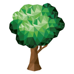 tree low poly isolated icon design, vector illustration  graphic 