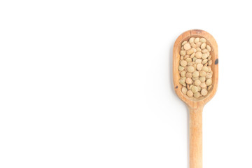 Raw Lentils into a spoon on white background. (Lens culinaris)