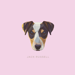 Jack Russell terrier dog vector illustration