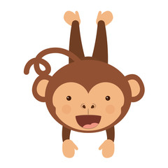 funny monkey character isolated icon design, vector illustration  graphic 