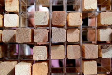 reverse side showcases