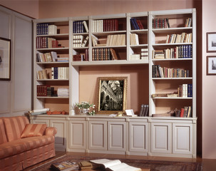 Ambiente con libreria © oscar0