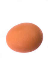 Fresh chicken egg