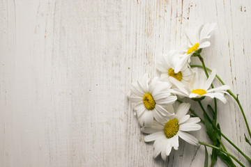 Chamomile flowers on a wooden background. Studio photography.