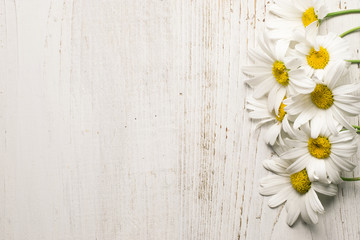 Chamomile flowers on a wooden background. Studio photography.