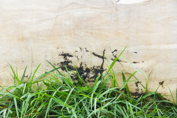 This is the marble floor. It is good background.