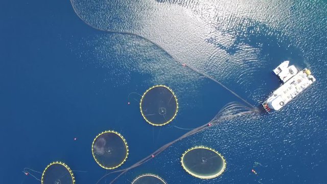 Aerial view of fish farm near the island of Dugi otok