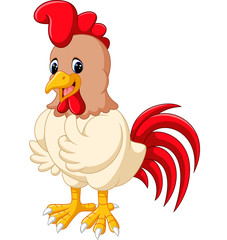 Cartoon chicken rooster