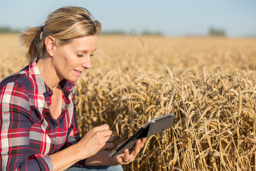 Female Farmer examining  wheat crop