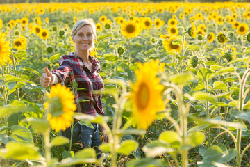 female farmer in sunflower field