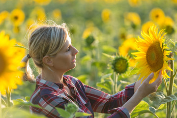 female farmer in sunflower field