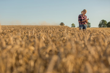 Female farmer walking through field checking wheat crop - 117598406