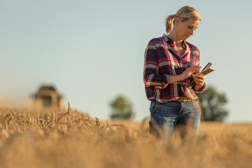 Female farmer walking through field checking wheat crop © eric