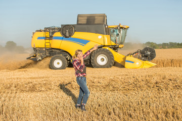 wheat harvest