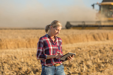Naklejka na ściany i meble female farmer standing in wheat field