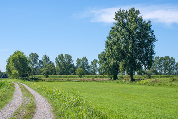 strada di campagna
