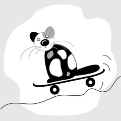 cat riding a skateboard