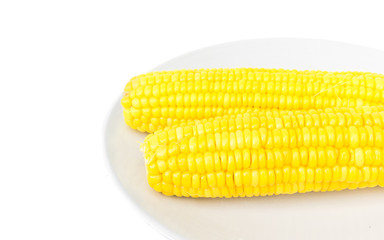 Closeup corn on plate with white background