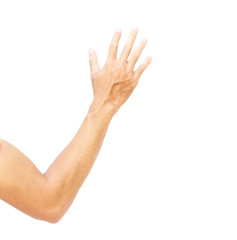 Obraz premium Man arm with blood veins on white background