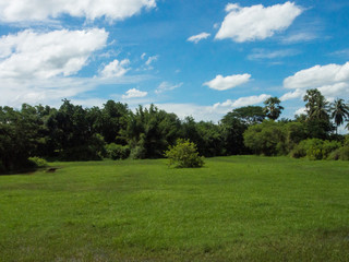 beside view   And blue sky with white clouds.