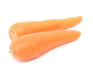 Fresh carrot on white background, vegetable concept