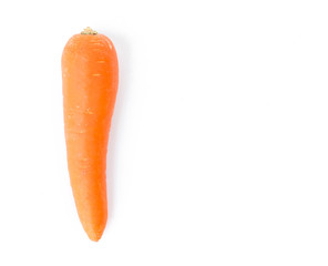 Fresh carrot on white background, vegetable concept