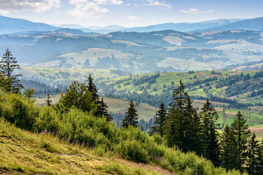 classic Carpathian mountain  landscape in summer