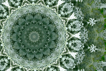 kaleidoscope pattern in silvery green