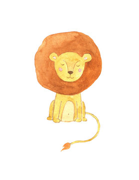 Watercolor lion illustration