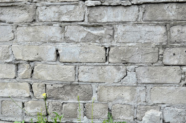 текстура кирпичной стены