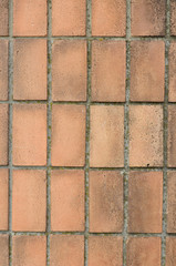 текстура кирпичной стены