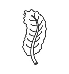 leaf garden decoration floral icon. Isolated and flat illustration. Vector graphic