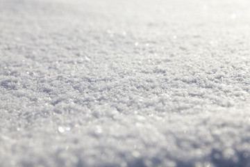 snow on the ground
