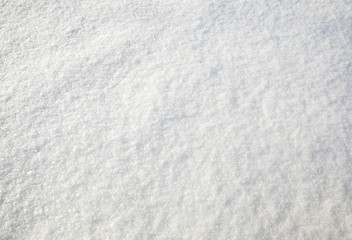 snow on the ground