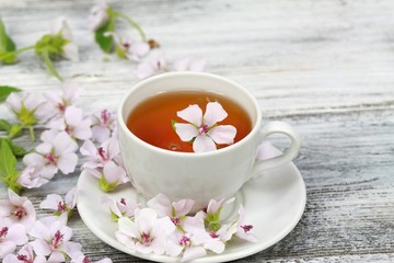 Marsh mallow tea,  Althaea officinalis