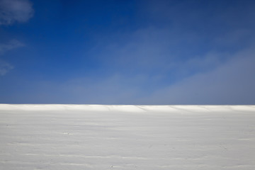 agriculture field in winter