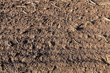 plowed for sowing the land
