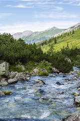 Fototapeta na wymiar River in the mountains.