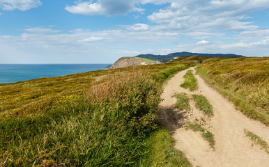 Summer ocean coastline view near Gorliz  town (Spain).