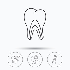 Healthy teeth, dentinal tubules and pliers icons.