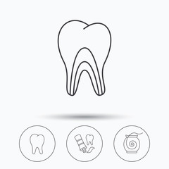 Tooth, dentinal tubules and dental floss icons.