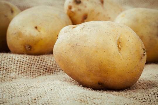 Closeup fresh organic potatoes on hemp sack background. Row orga