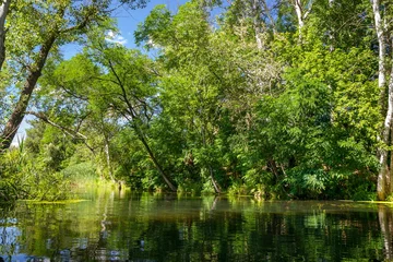 Foto op Plexiglas Summer, the river in the shade of trees © klmari